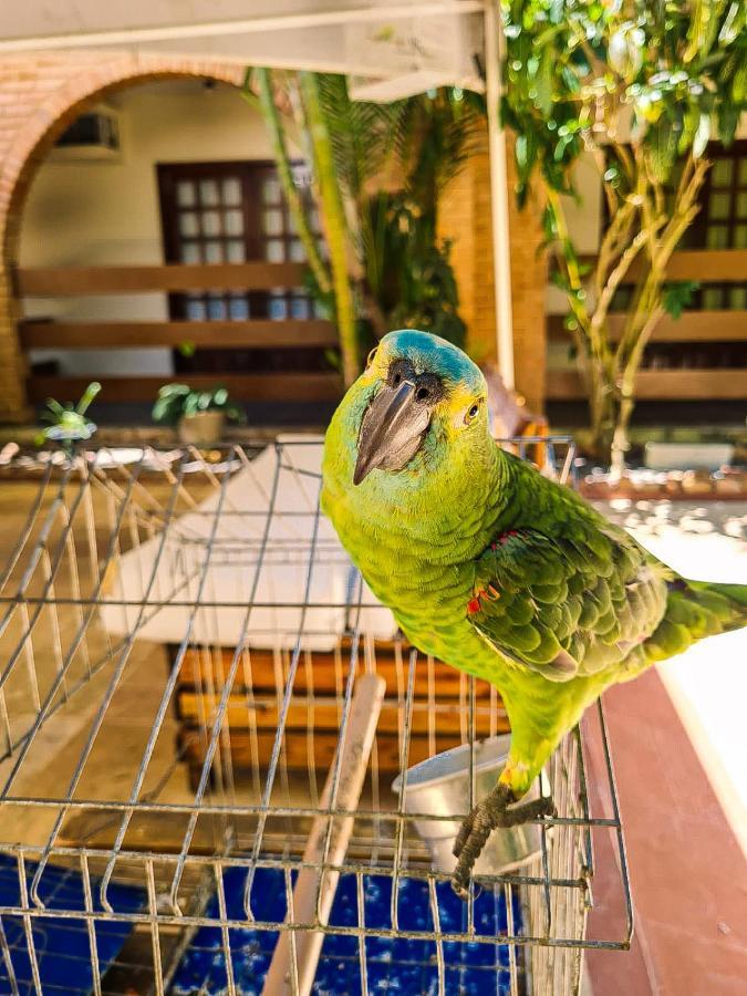 Hotel Pousada Mahon Mar プライア・ド・フランセス エクステリア 写真
